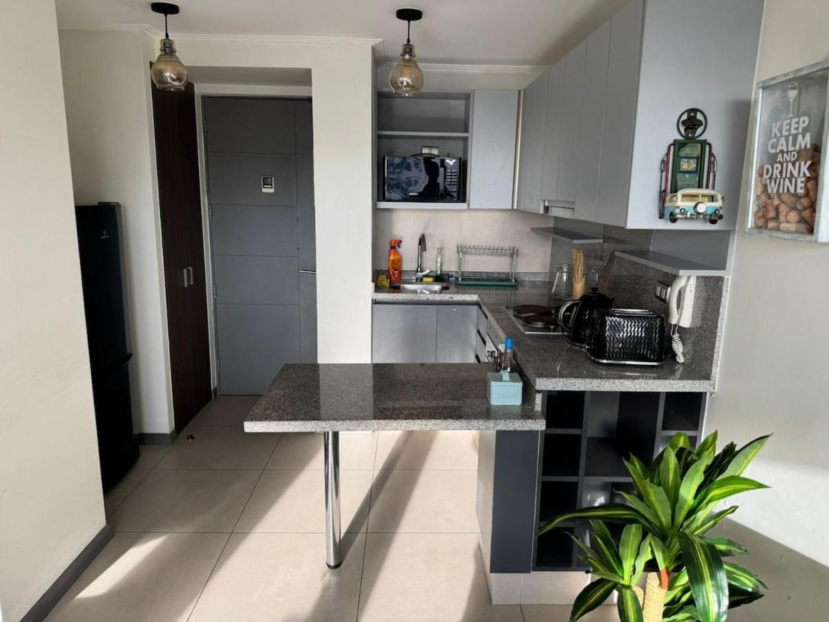 Moderno Y Acogedor Departamento Apartamento Concepción